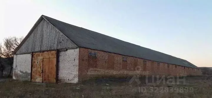 Склад в Татарстан, Апастово пгт ул. Шоссейная (860 м) - Фото 2