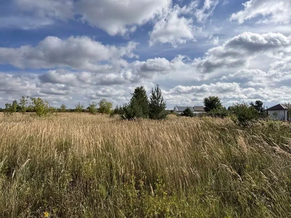 Участок в Московская область, Орехово-Зуевский городской округ, д. ... - Фото 1