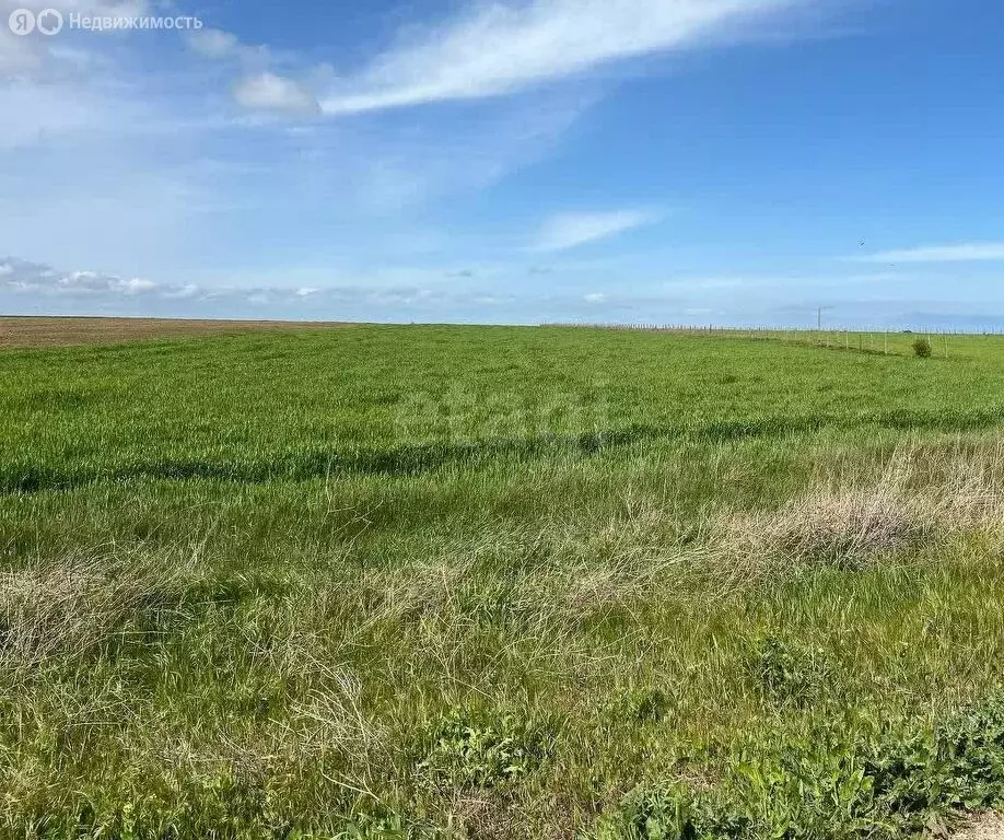 Участок в Калиновка, улица Абденановой (50 м) - Фото 1