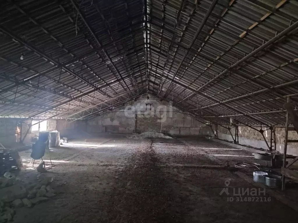 Склад в Крым, Симферопольский район, Гвардейское пгт ул. Юбилейная ... - Фото 1