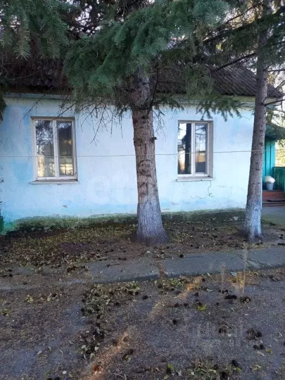 Дом в Амурская область, Михайловский муниципальный округ, с. Поярково ... - Фото 1