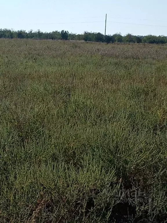 Участок в Краснодарский край, Ейск ул. Герцена (6.25 сот.) - Фото 1