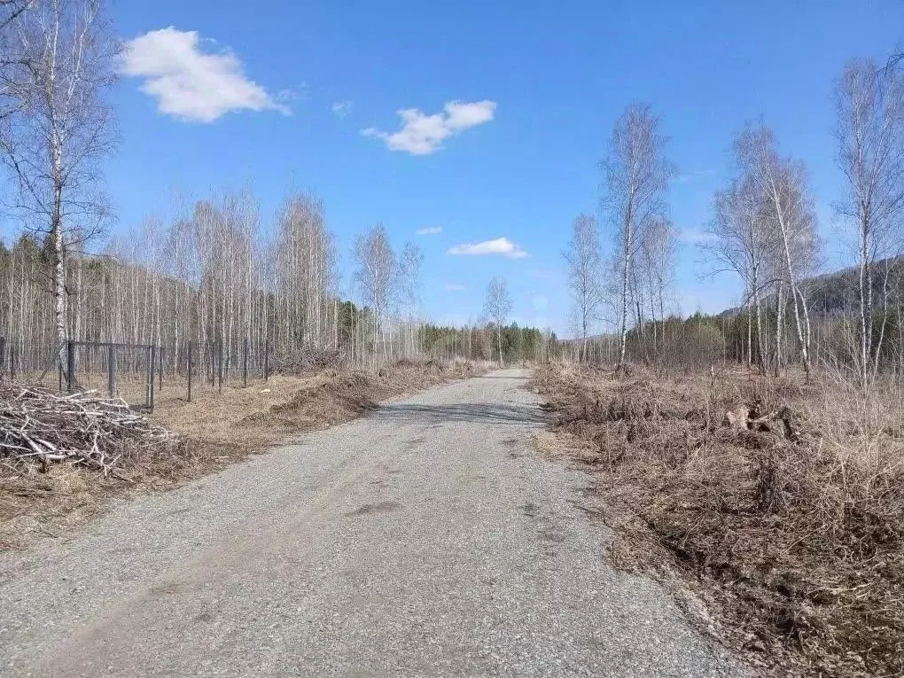 Участок в Алтай, Майминский район, Соузгинское с/пос, пос. Черемшанка  ... - Фото 1