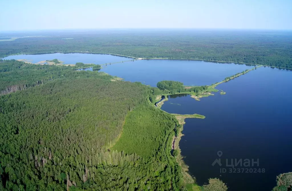 Участок в Московская область, Клин городской округ, Заповедное Озеро ... - Фото 1