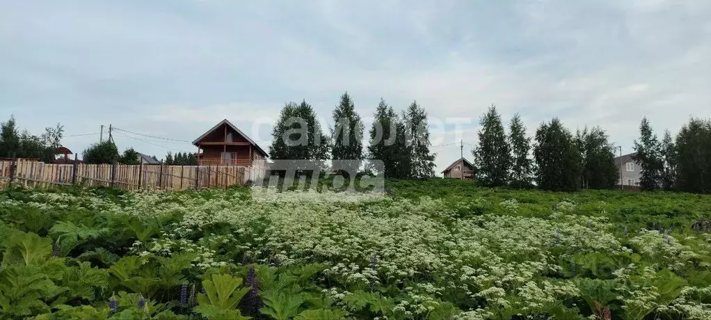 Участок в Пермский край, Краснокамский муниципальный округ, д. Семичи ... - Фото 1