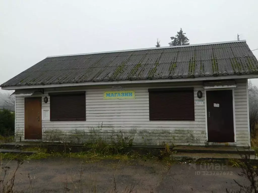 Торговая площадь в Ленинградская область, Выборгский район, Рощинское ... - Фото 2