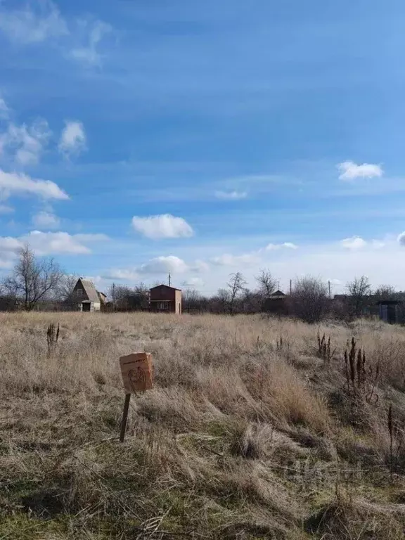 Участок в Ростовская область, Сальский район, Кручено-Балковское ... - Фото 1