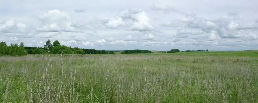 Участок в Тульская область, Веневский муниципальный округ, д. ... - Фото 2