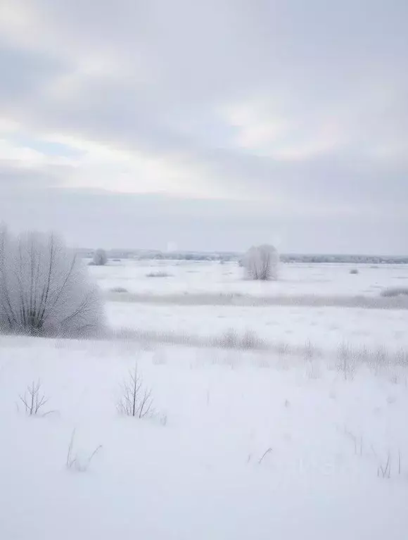 Участок в Тульская область, Дубенский район, Протасовское с/пос, с. ... - Фото 1