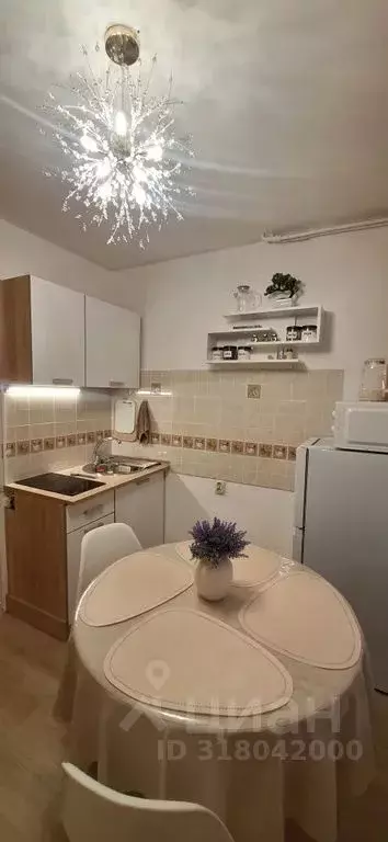 Студия Краснодарский край, Сочи городской округ, Дагомыс пгт ул. ... - Фото 0