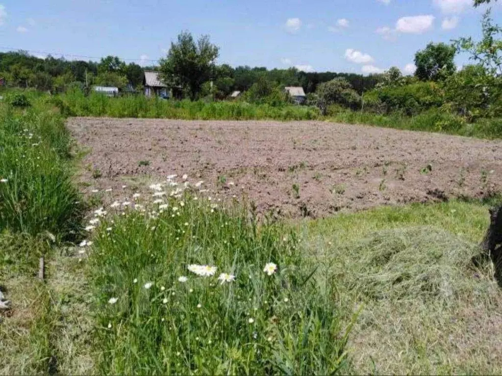 Участок в Хабаровский край, Хабаровск Березка СНТ,  (7.83 сот.) - Фото 0