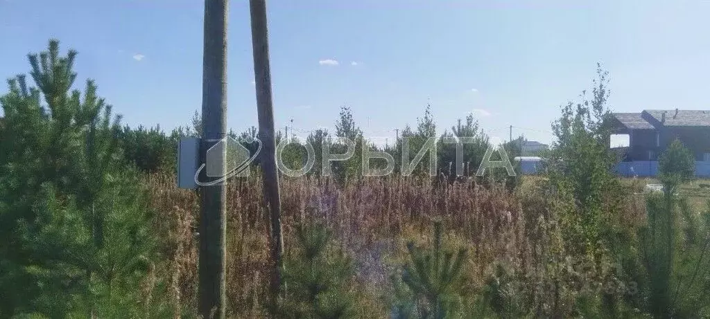 Участок в Тюменская область, Тюменский муниципальный округ, Нива СНТ ... - Фото 1