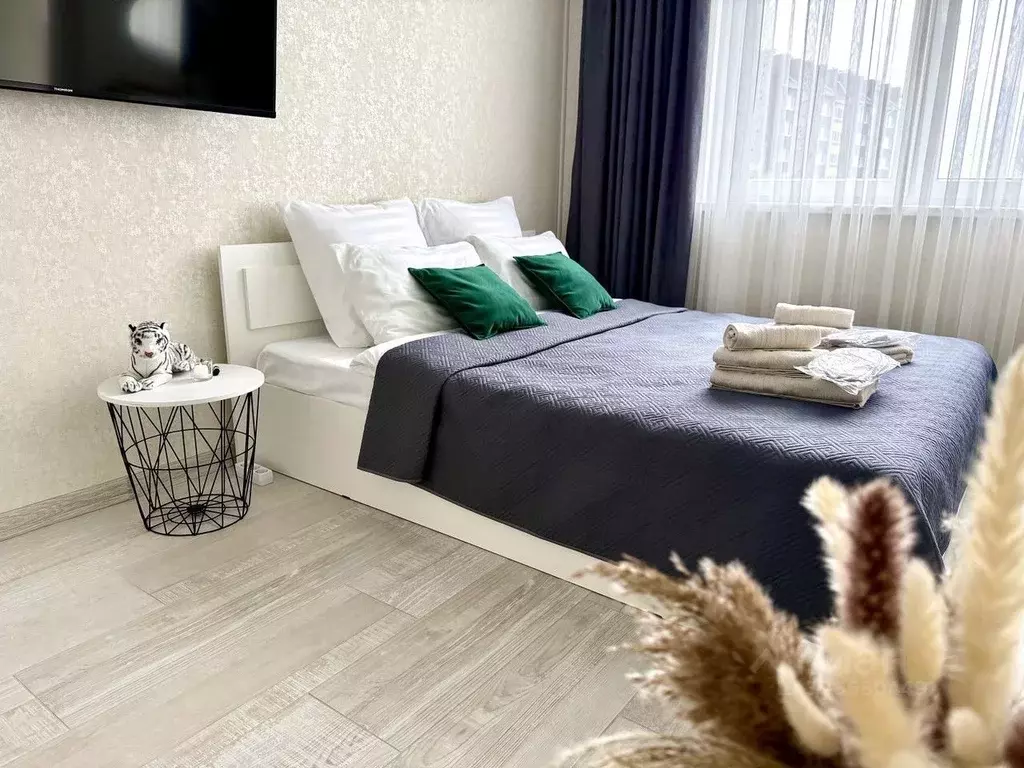 1-к кв. Калининградская область, Зеленоградск ул. Героя России ... - Фото 2