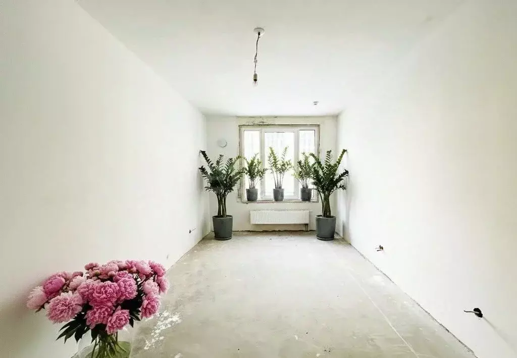 Студия Санкт-Петербург просп. Крузенштерна, 4 (24.0 м) - Фото 1