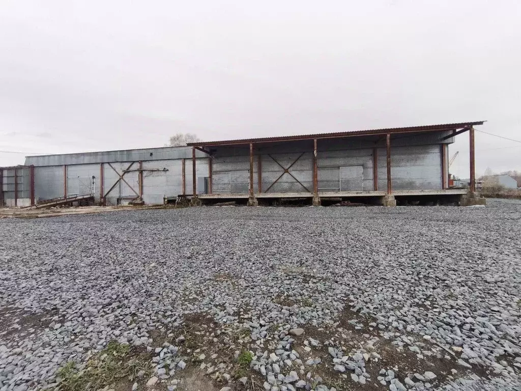 Склад в Томская область, Томский район, Поселок Зональная ст. ул. ... - Фото 1