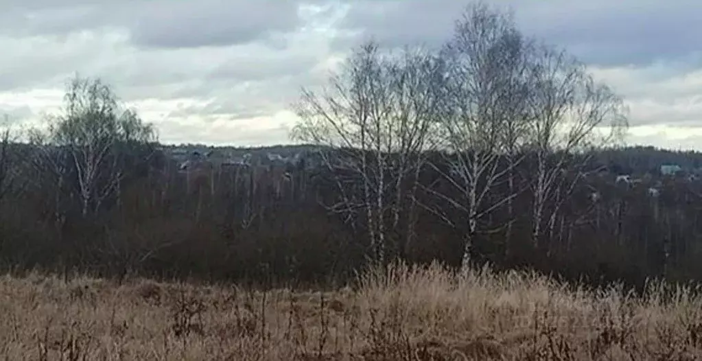 Участок в Московская область, Дмитровский муниципальный округ, пос. ... - Фото 1