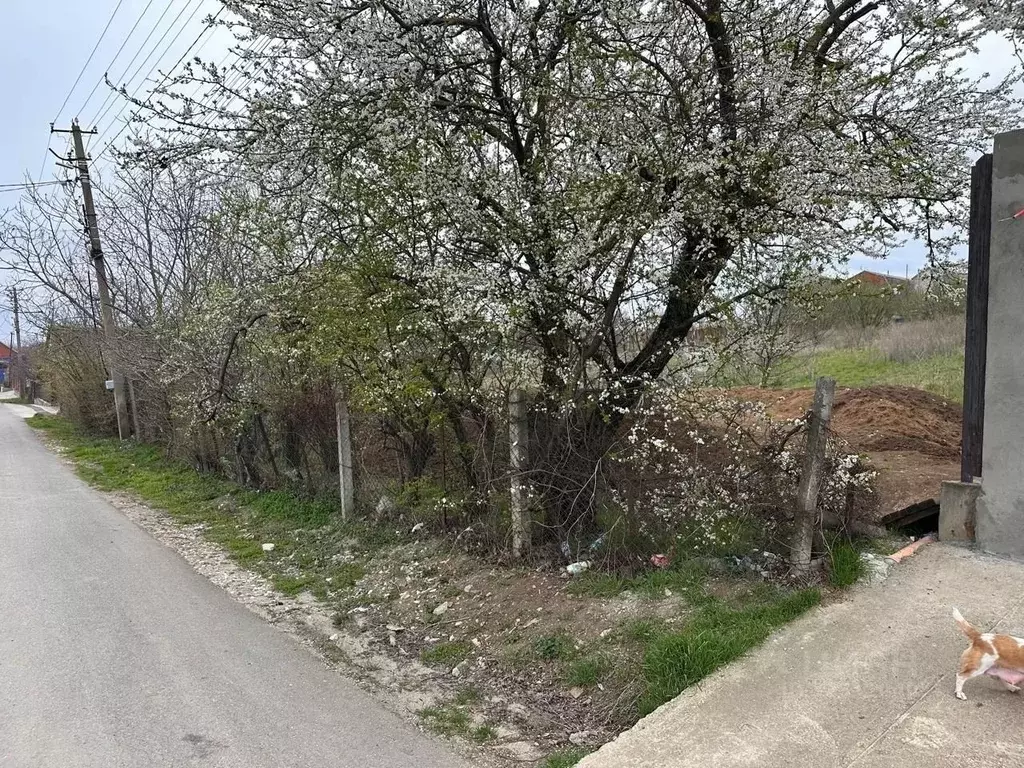 Участок в Краснодарский край, Анапа муниципальный округ, с. Гай-Кодзор ... - Фото 2