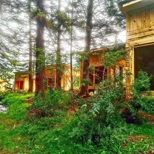 Дом в Алтай, Улаганский район, с. Акташ Лесная ул., 1Ж (10 м) - Фото 2