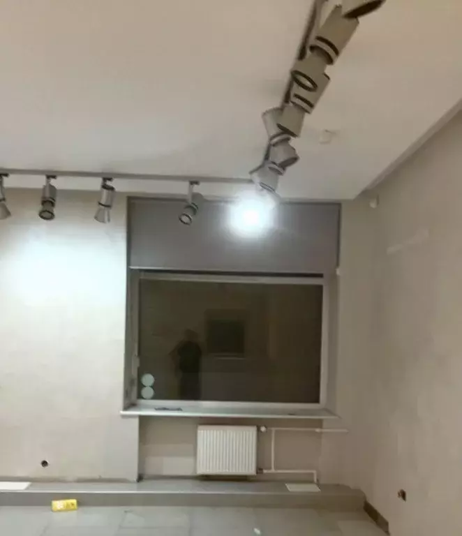 Торговая площадь в Санкт-Петербург ул. Льва Толстого, 5 (50 м) - Фото 1