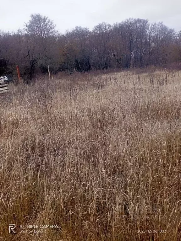 Участок в Белгородская область, Белгородский район, Беломестненское ... - Фото 2