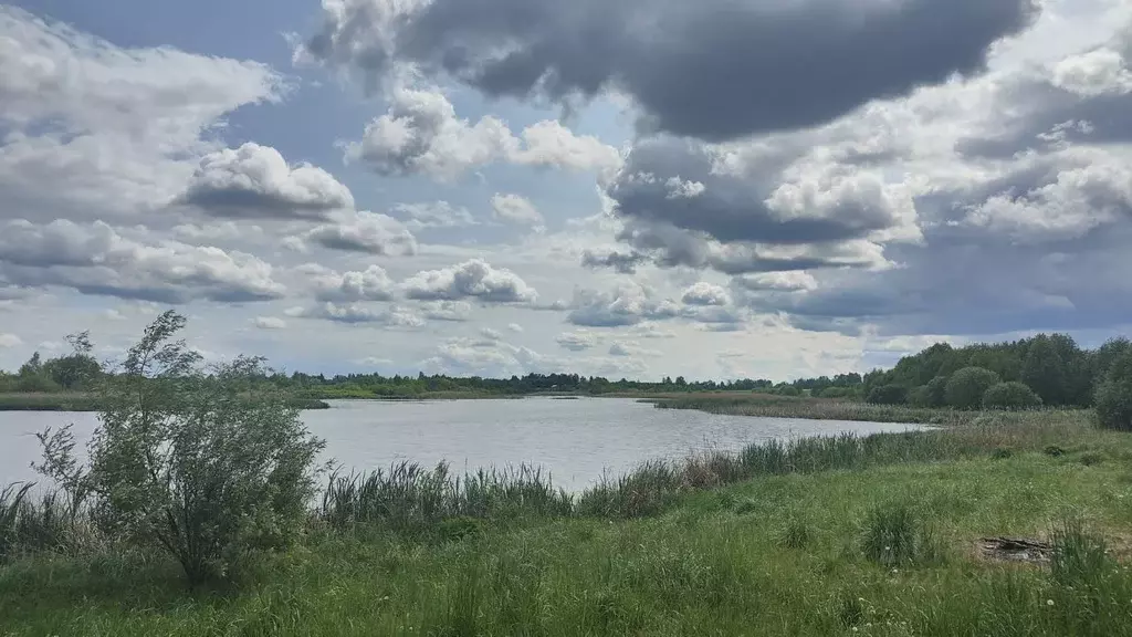 Участок в Тверская область, Конаковский муниципальный округ, Нива СНТ ... - Фото 2
