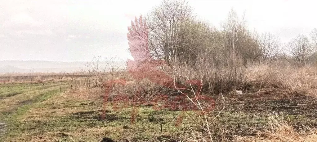 Участок в Орловская область, Урицкий район, Котовское с/пос, д. ... - Фото 2