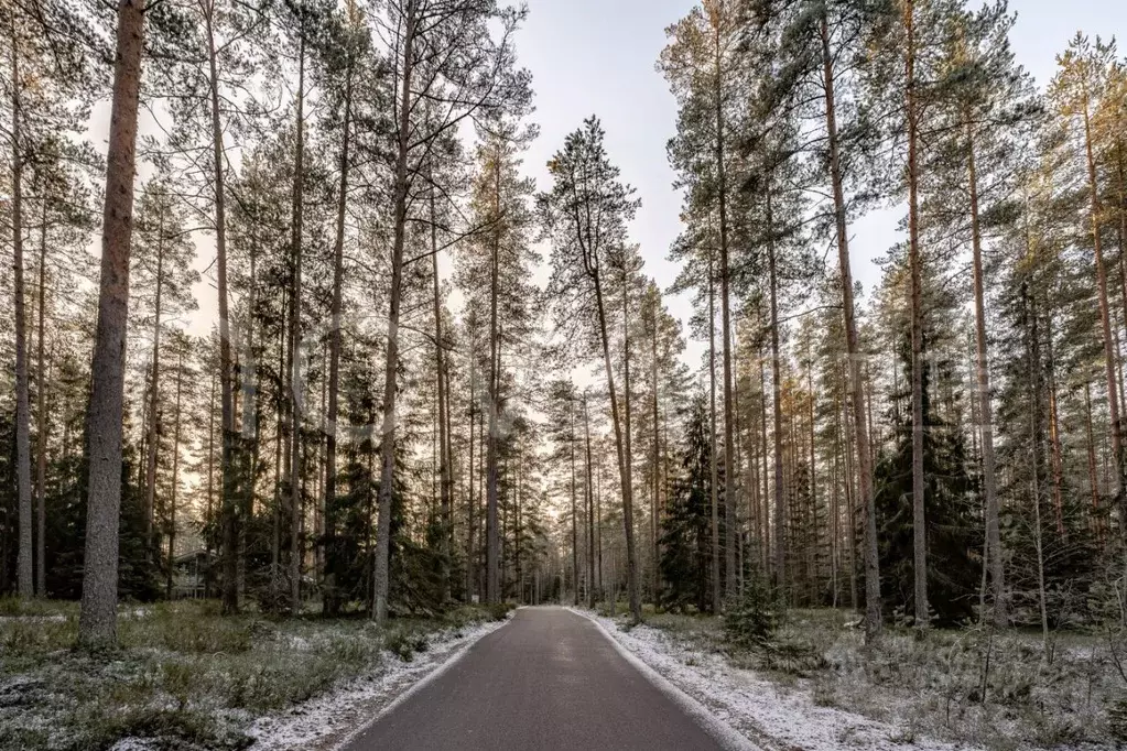 Участок в Ленинградская область, Выборгский район, Первомайское с/пос, ... - Фото 1