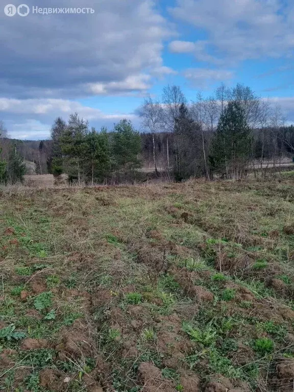Участок в Вологодский муниципальный округ, деревня Филино (Пудегский ... - Фото 2