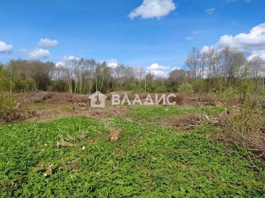 Участок в Ленинградская область, Выборгский район, Рощинское городское ... - Фото 2