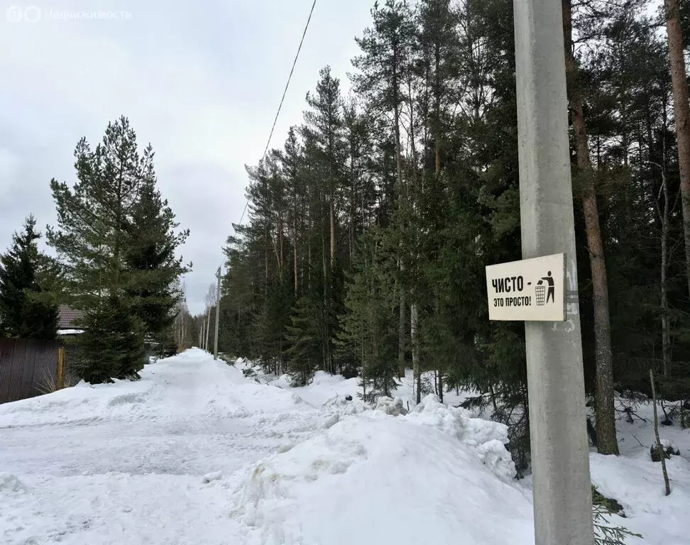 Дом в Рахьинское городское поселение, СНТ Проба (42.3 м) - Фото 2