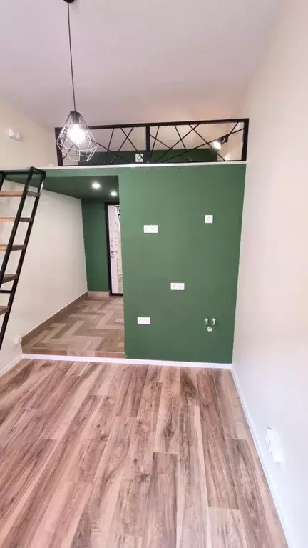 Студия Санкт-Петербург ул. Опочинина, 3 (19.1 м) - Фото 0