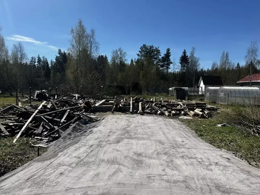 Участок в Ленинградская область, Приозерский район, Ларионовское ... - Фото 1