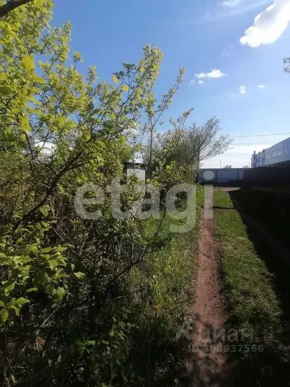 Участок в Брянская область, Брянский район, Добрунское с/пос, д. ... - Фото 1