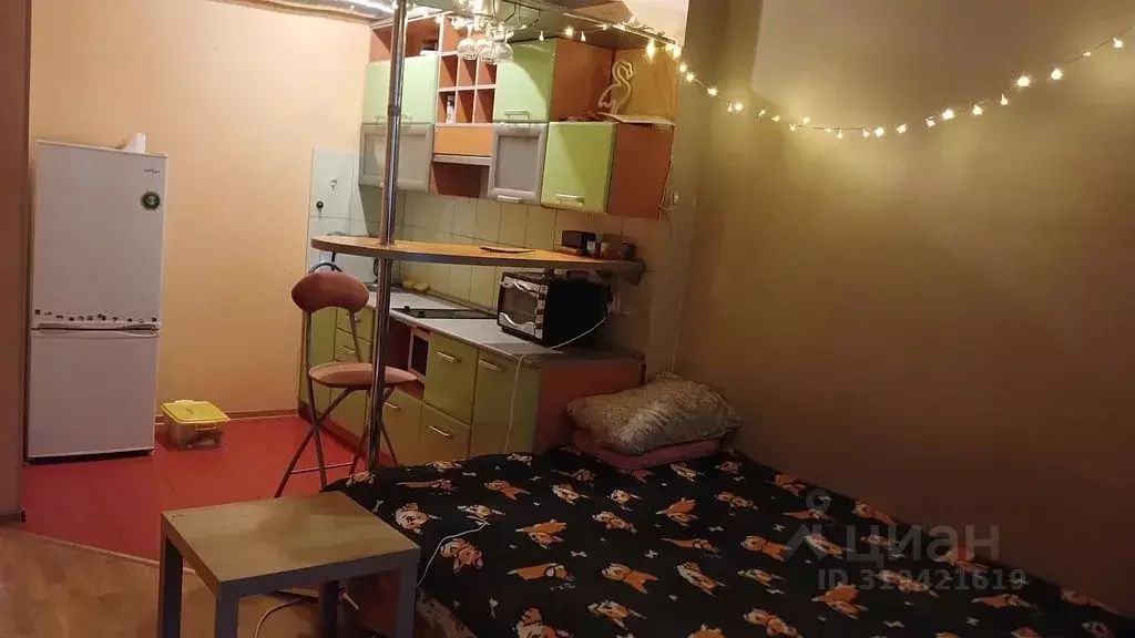Студия Санкт-Петербург ул. Савушкина, 143к1 (28.0 м) - Фото 0