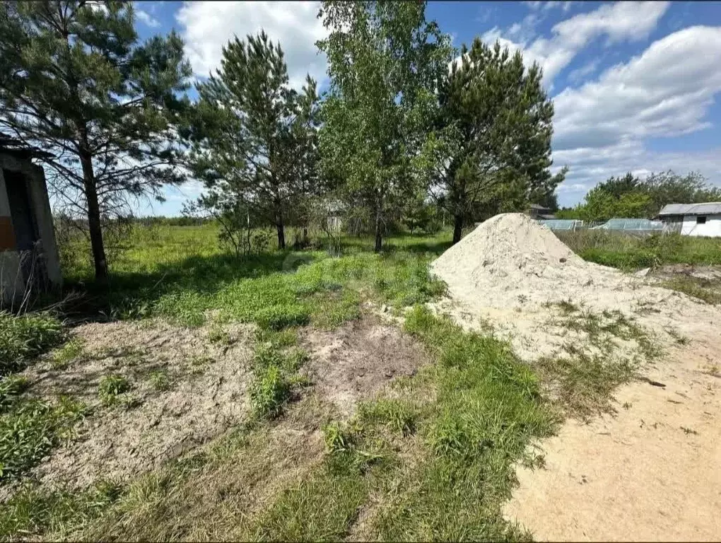 Участок в Брянская область, Брянский район, Нетьинское с/пос, Весна ... - Фото 2