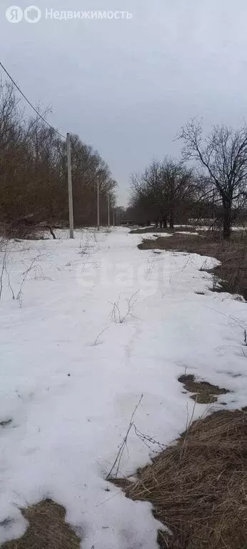 Участок в Липецкая область, Грязинский муниципальный округ, село ... - Фото 2