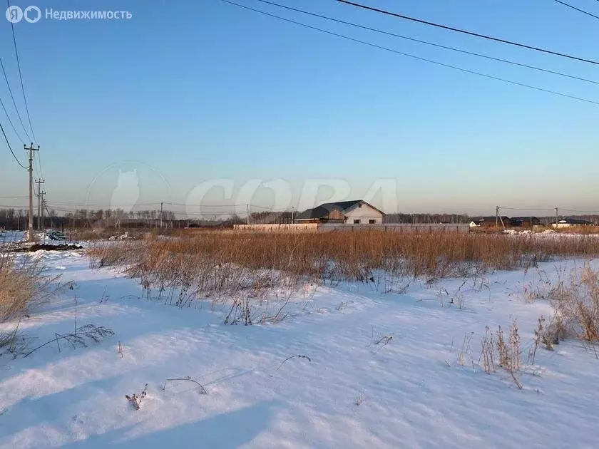 Участок в Тюменский район, деревня Решетникова (6.8 м) - Фото 1