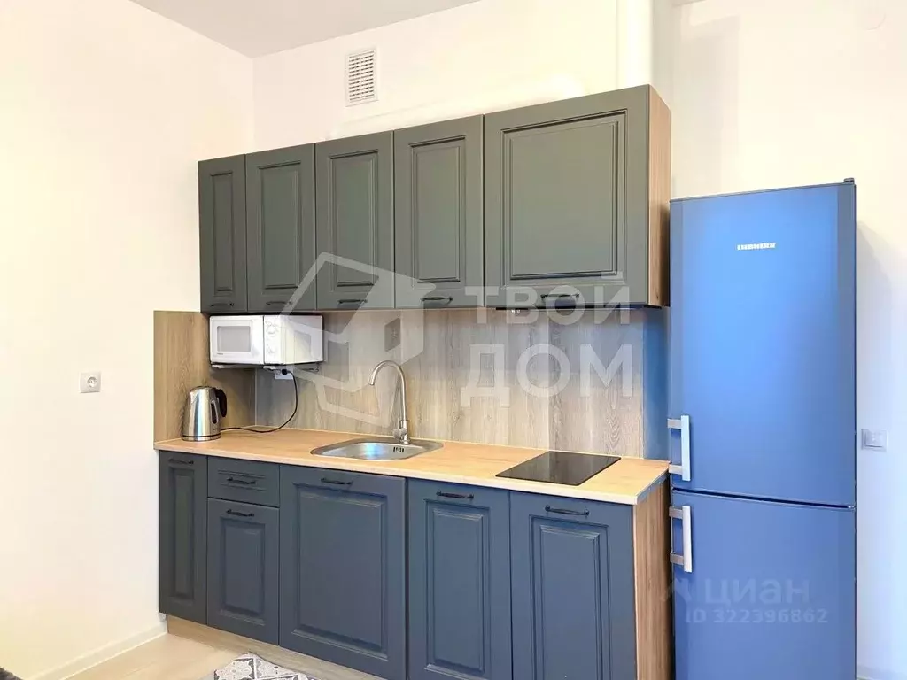 Студия Санкт-Петербург бул. Головнина, 4 (22.1 м) - Фото 1