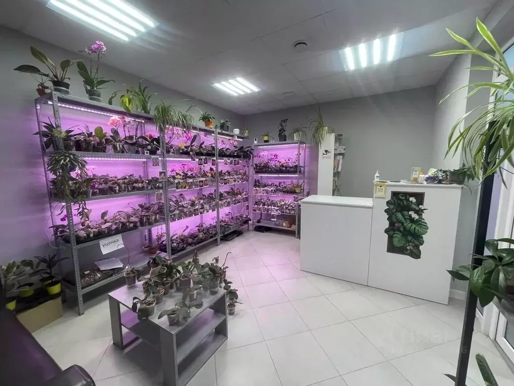 Торговая площадь в Краснодарский край, Краснодар ул. Им. Героя ... - Фото 1