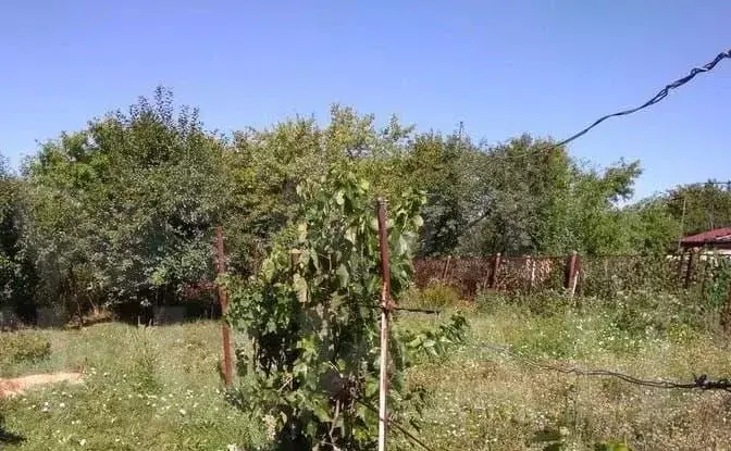 Участок 6,5 сот. (СНТ, ДНП) - Фото 0