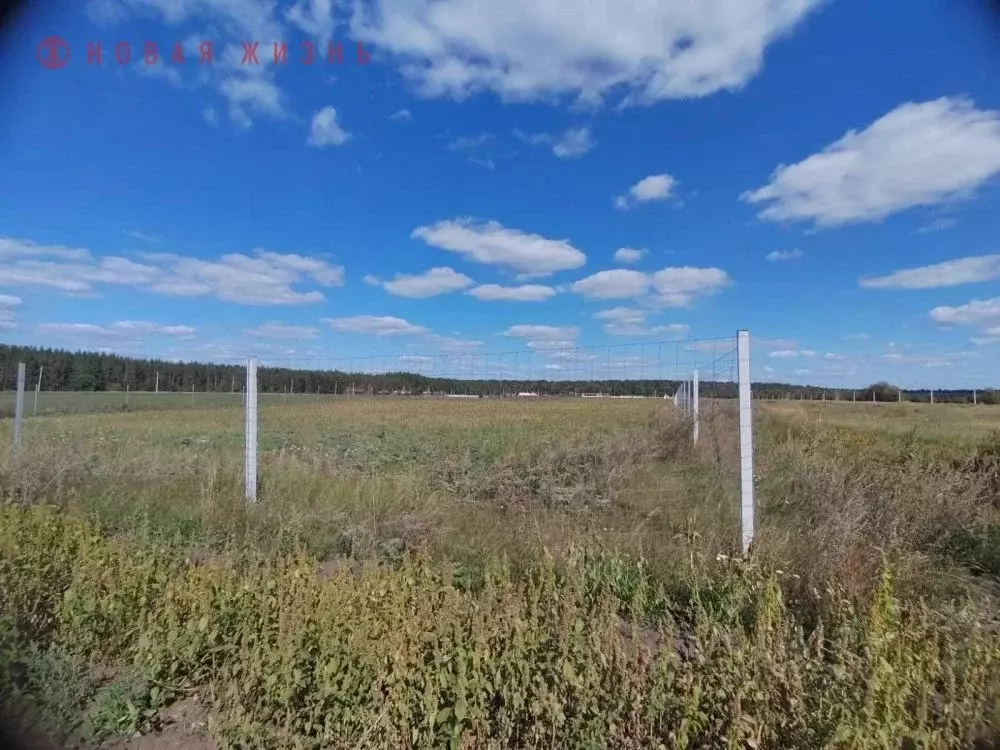 Участок в Самарская область, Красноярский район, Светлое Поле с/пос, ... - Фото 2