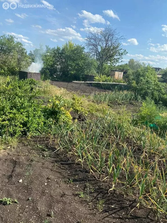 Участок в Республика Башкортостан, Октябрьский (8 м) - Фото 1