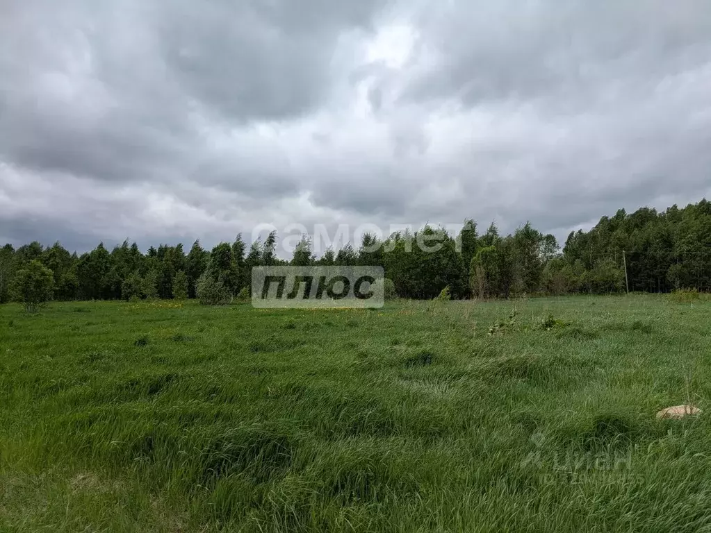Участок в Вологодская область, Кадуйский муниципальный округ, с. ... - Фото 2