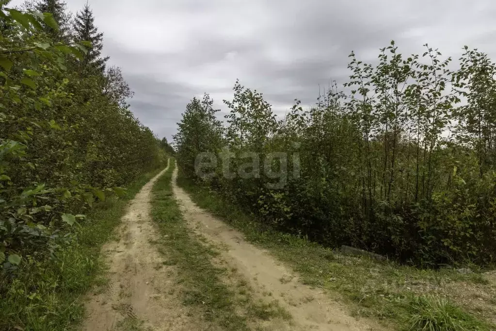 Участок в Ленинградская область, Лужский район, Мшинское с/пос, ... - Фото 1