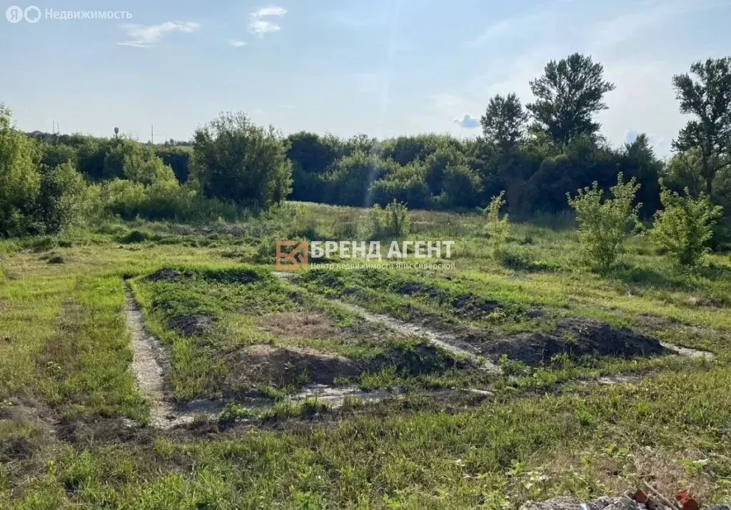 Участок в село Стрелецкое, Краснооктябрьская улица (22 м) - Фото 1