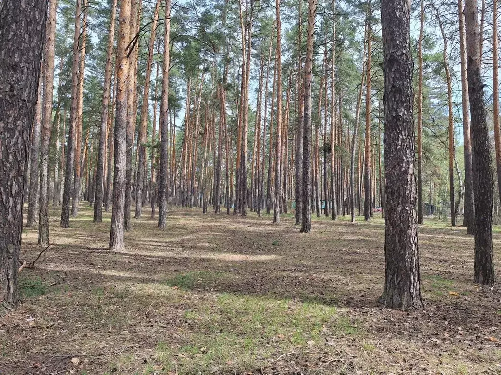 Участок в Тамбовская область, Тамбов Рассказовское ш., 9 (17.0 сот.) - Фото 1