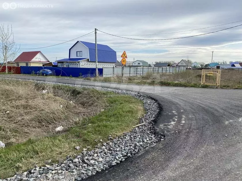 Участок в Тюменский муниципальный округ, село Борки (10 м) - Фото 1