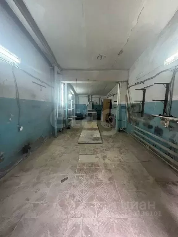 Склад в Тюменская область, Тюмень ул. Бабарынка, 1/10 (43 м) - Фото 1