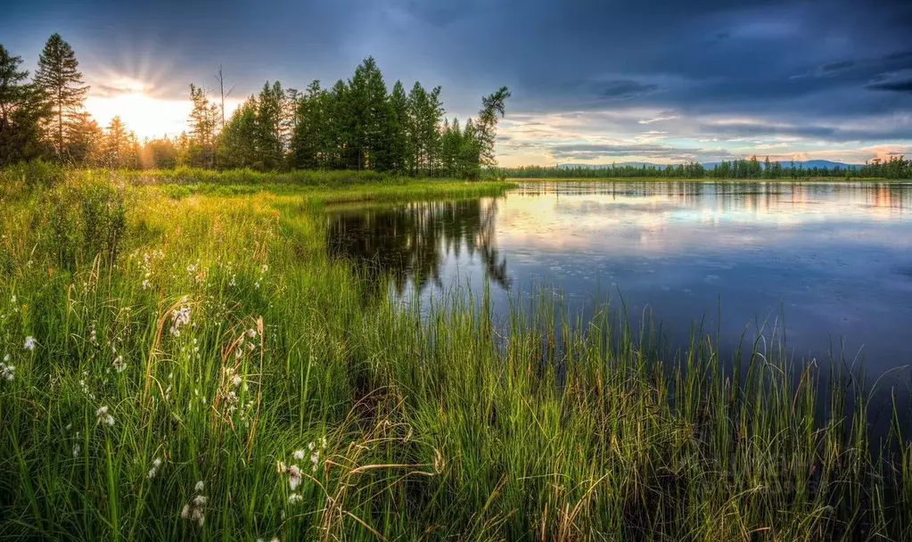 Участок в Ленинградская область, Лодейнопольское городское поселение, ... - Фото 1