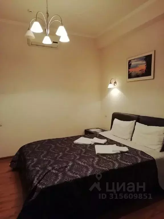 Комната Краснодарский край, Сочи ул. Ленина, 219/7 - Фото 0